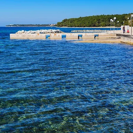 žanina * 扎达尔